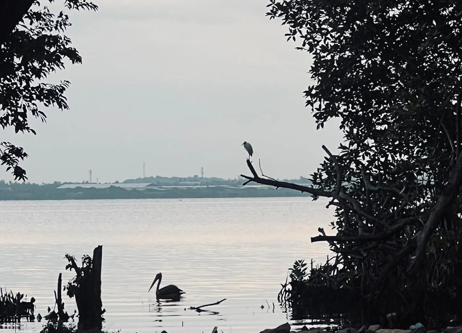 Blue Mangrove Lagoon By Serenity Negombo 0*,  Sri Lanka